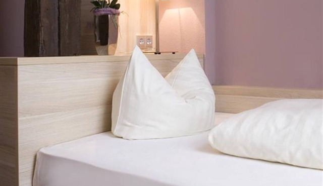 Single Ambiente Klassik - Ringhotel Nassau-Oranien