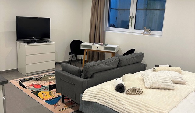 Souterrain Wohnung in Exklusiver Villa Nähe Nymphenburger Schlosspark
