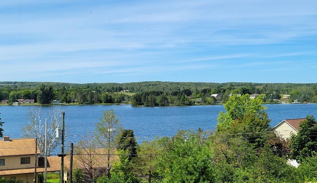 Spacious, pet-friendly home in Hancock Twp. Includes indoor sauna!