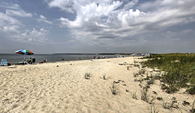 Steps to Eats & Craigville Beach! Cape Cod Cottage