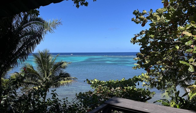 Stunning Temple Tree House, pool! Romantic Beach Getaway on 1 acre
