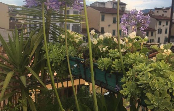 Terrazza su Sant'Ambrogio a Firenze
