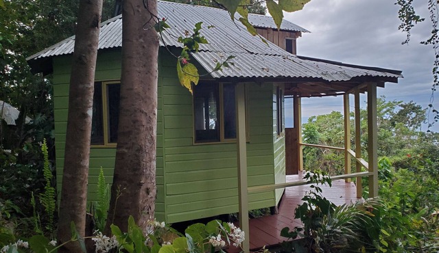 The Artist cabin is a mountain cabin overlooking the sea and coastline