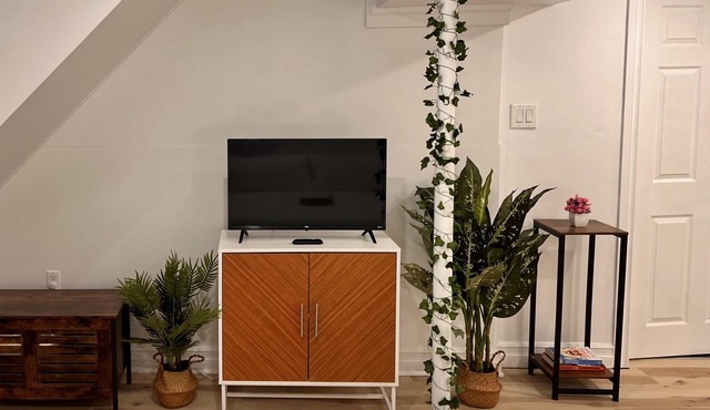 The Boho Oasis: Spacious Deluxe Apartment, Close to All Amenities, Safe & Quiet