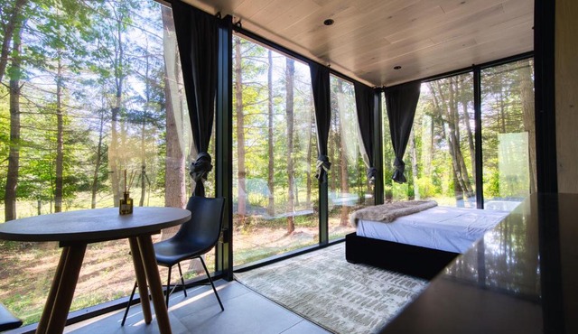 The Haüs Windham - Spacious Suites, Hot Tub, Mountain Views!
