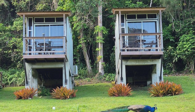 Tierra Adentro Bed & Breakfast
