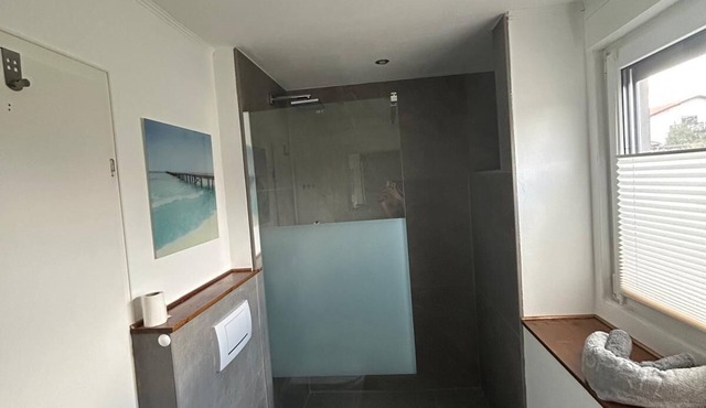 Vacation apartment zum Stachelbaum in Dornburg-Thalheim