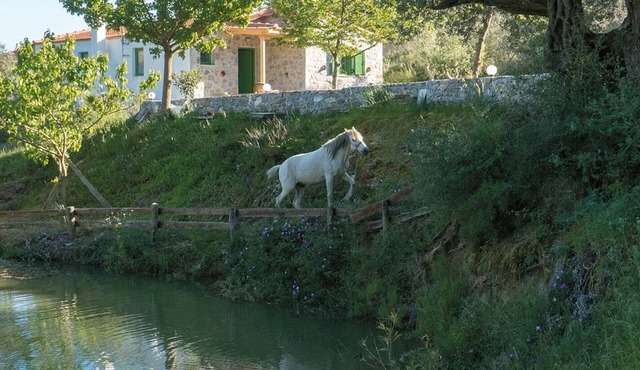 Villa Elia with mountain and lake view
