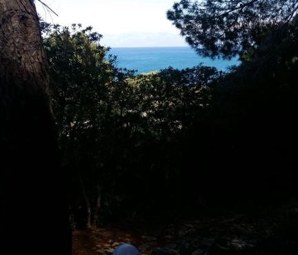villa punta pispisa