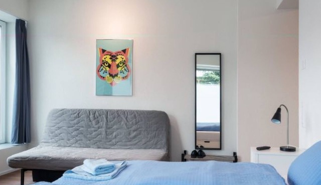 ZH Tiger - Altstetten HITrental Apartment by Interhome