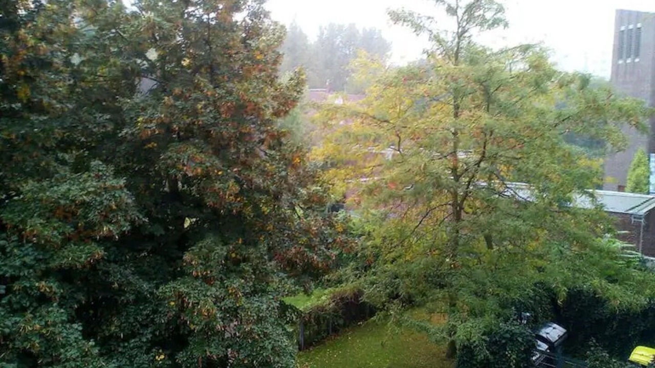 Photo of Outdoor in Friedrichsfelde