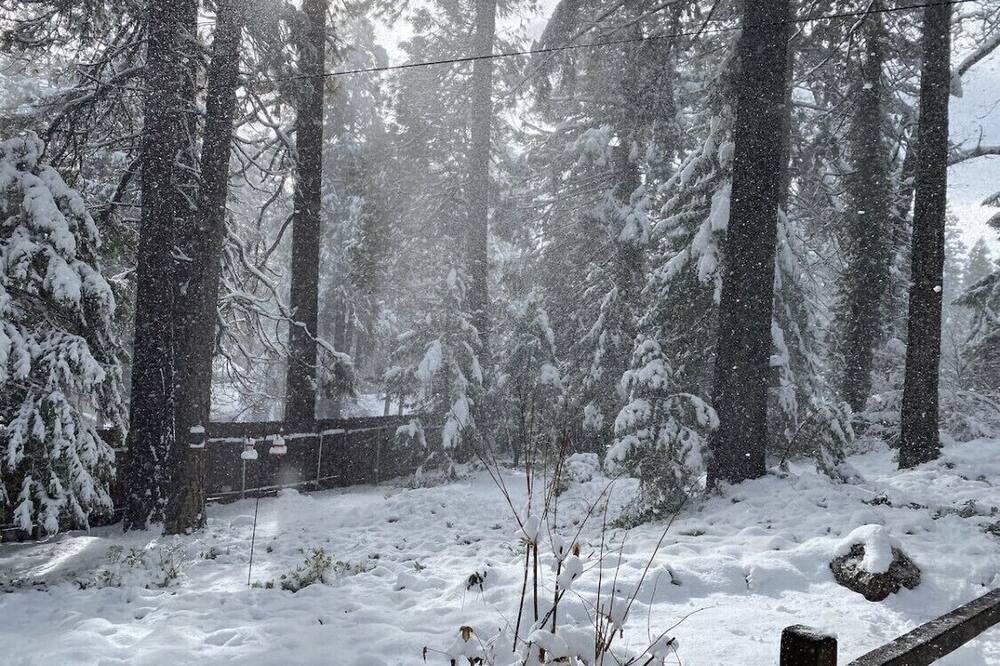 Photo of Others in Pollock Pines