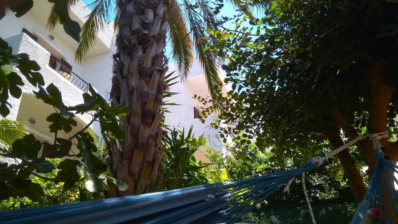 Photo of Outdoor in Plaka