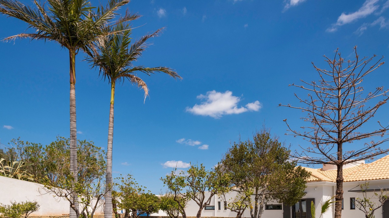 Photo of Outdoor in Kissamos