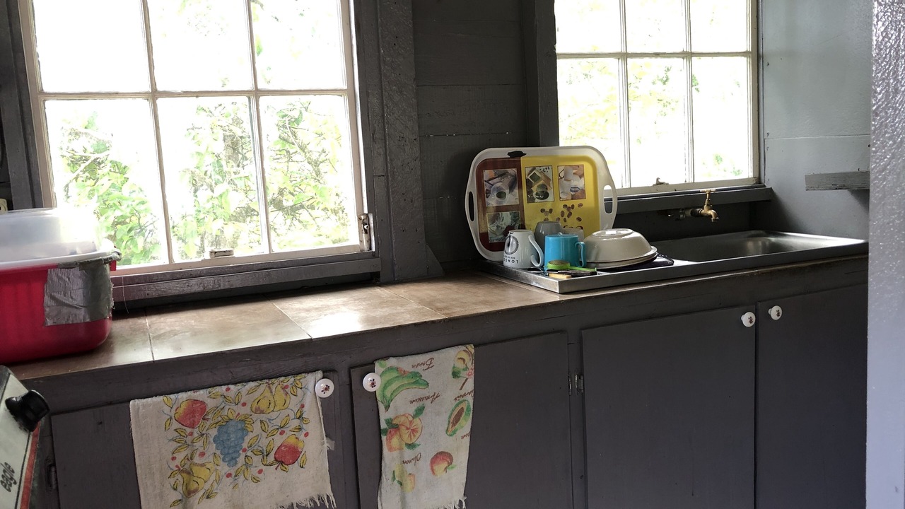 Photo of Kitchen in Newcastle