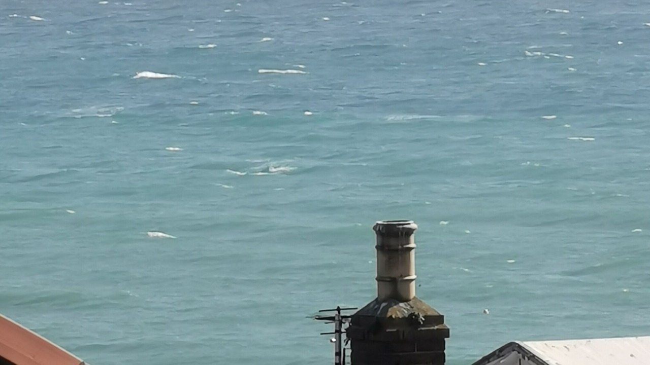 Photo of Others in Newlyn