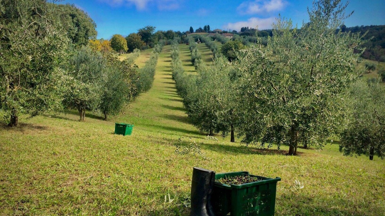 Photo of Outdoor in Torrita di Siena