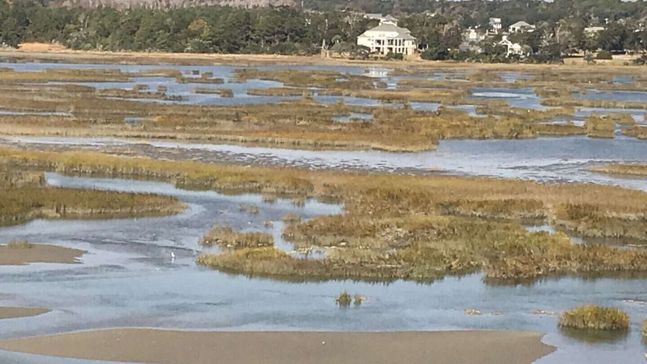 Photo of Others in North Myrtle Beach