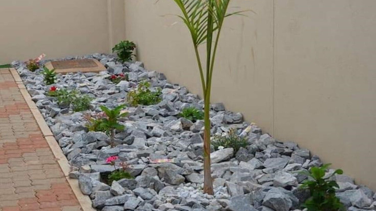 Photo of Outdoor in Maun