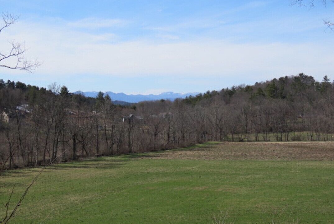 Photo of Outdoor in Weaverville