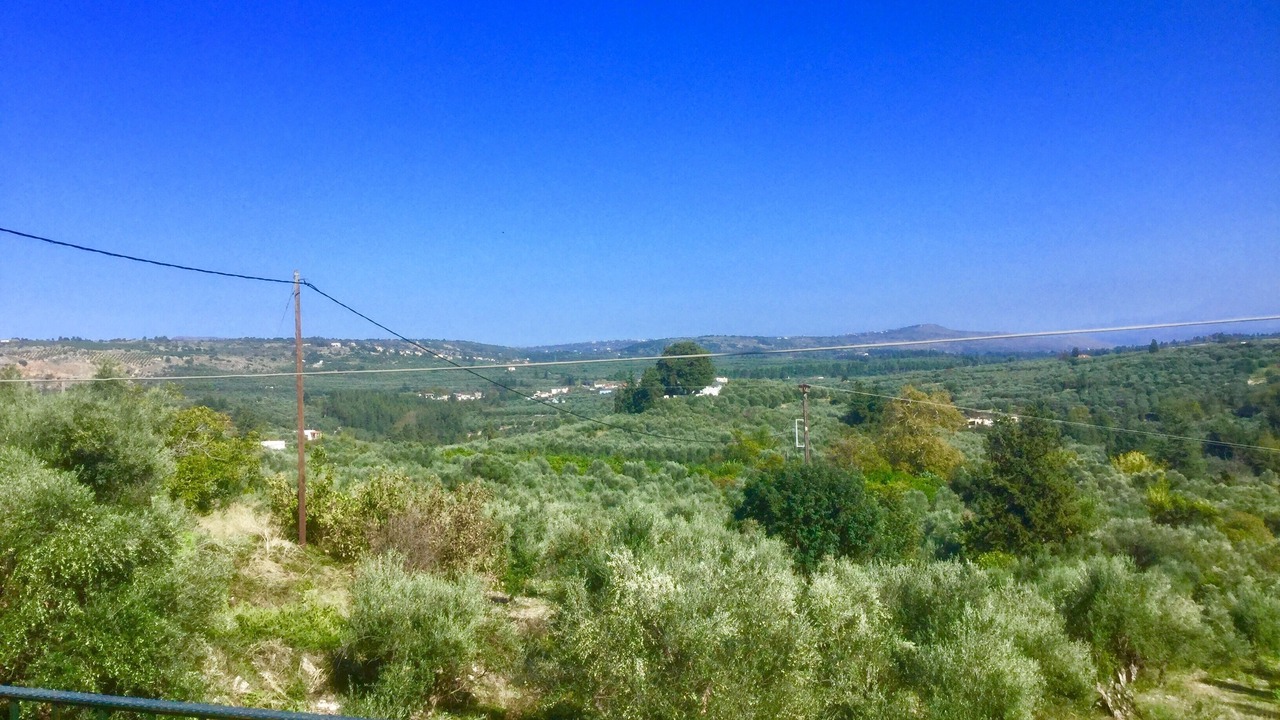 Photo of Others in Paidochori