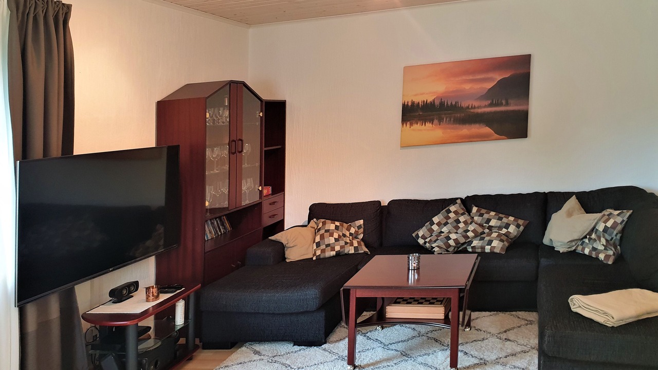 Photo of Livingroom in Axland