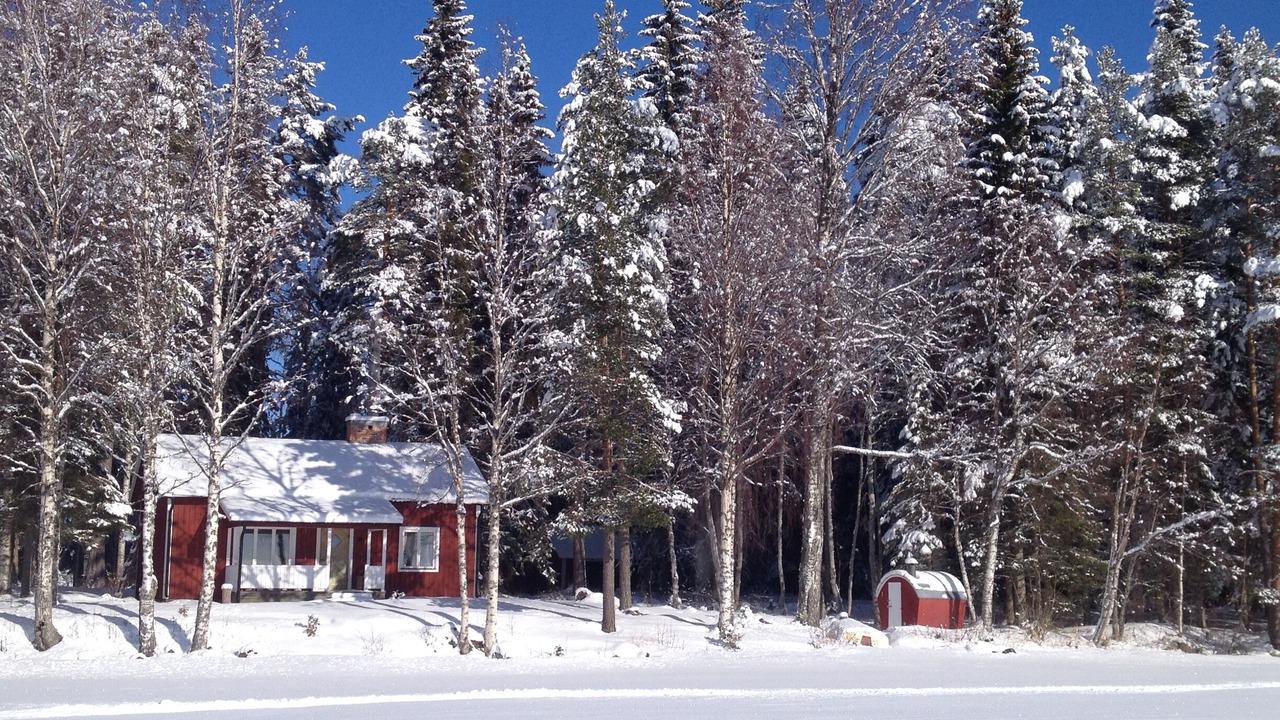 Photo of Outdoor in Bispgarden