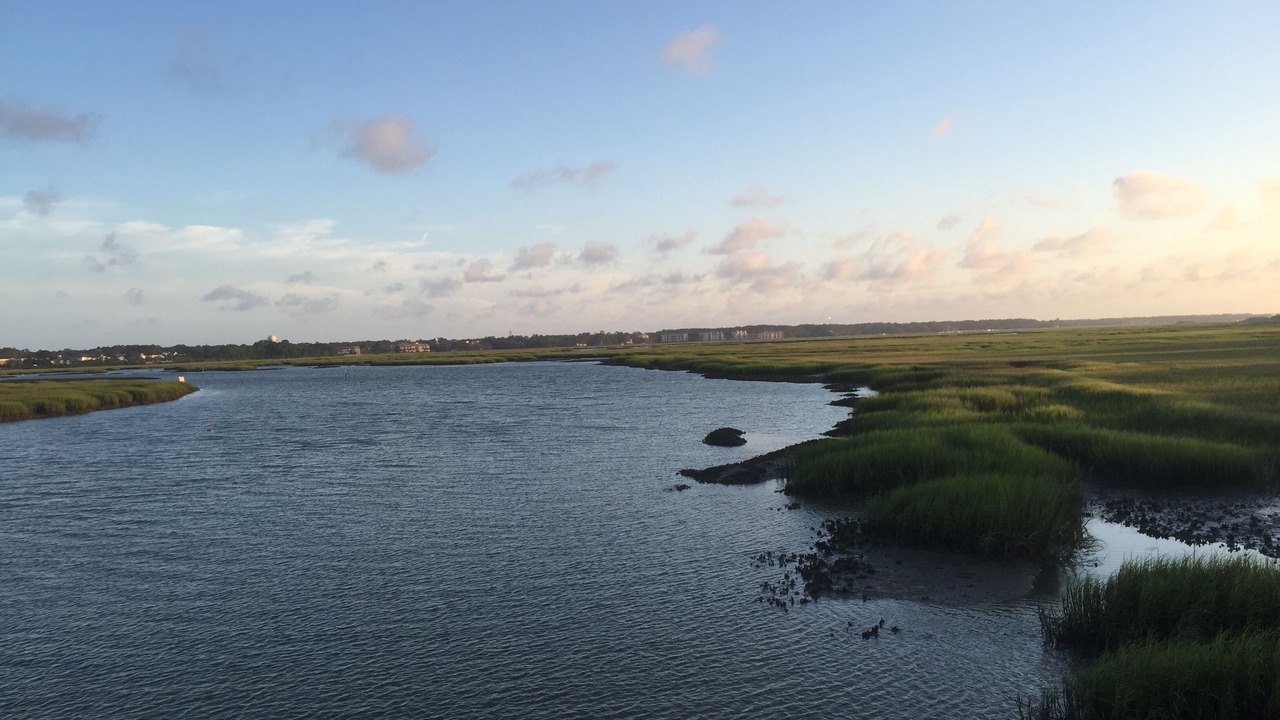 Photo of Others in Sea Pines
