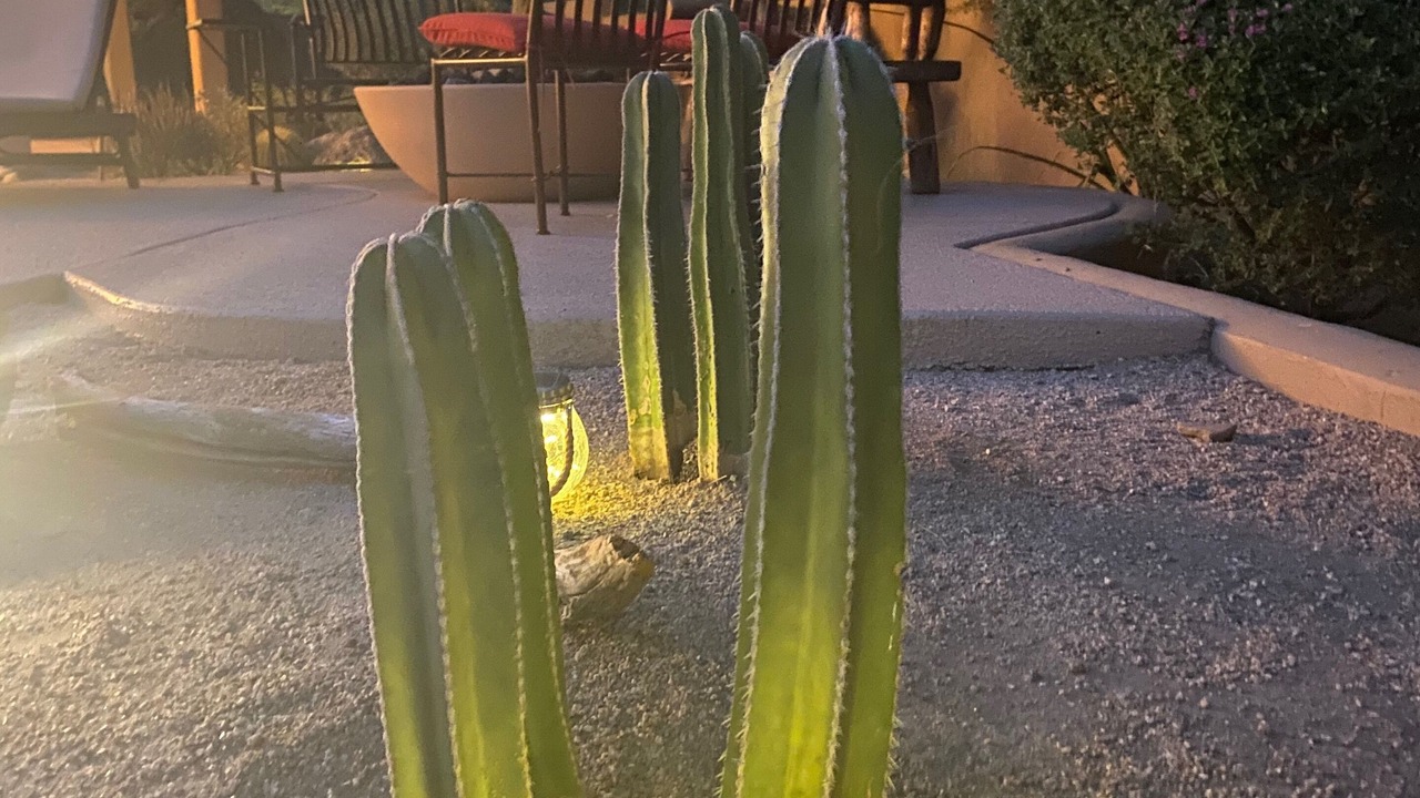 Photo of Outdoor in North Scottsdale