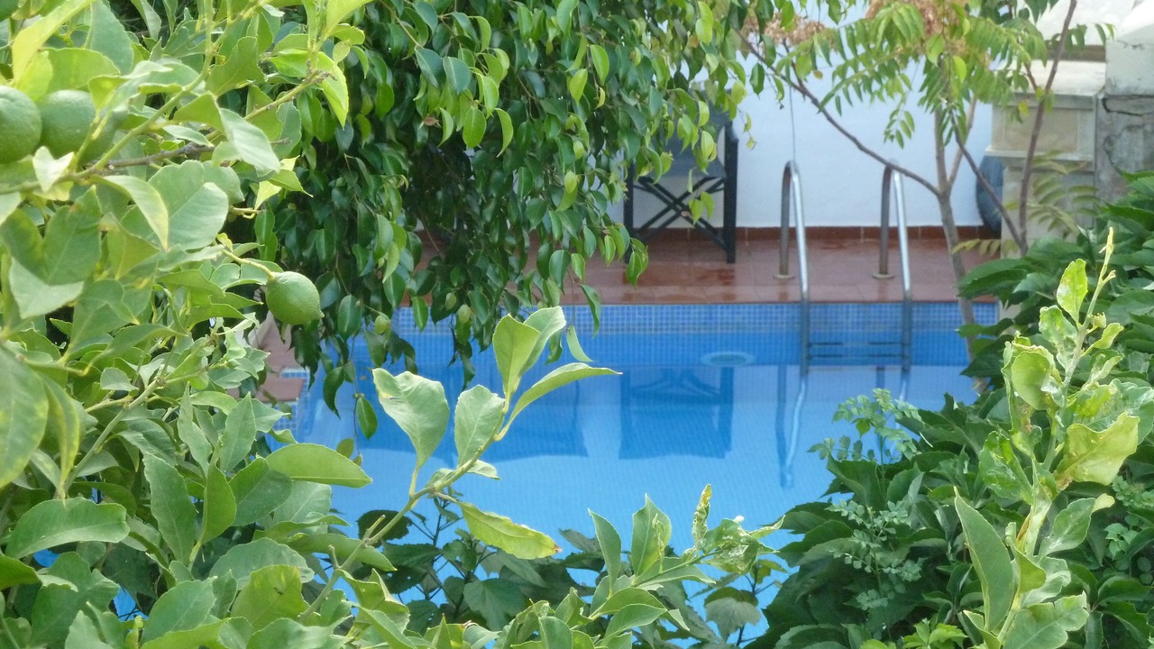 Photo of Outdoor in Atsipopoulo
