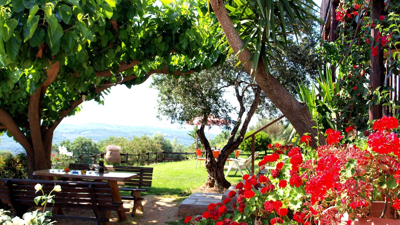 Photo of Outdoor in Platanias