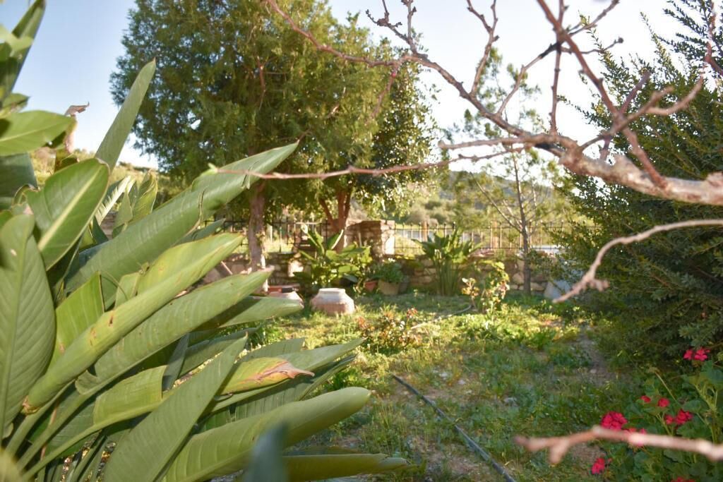 Photo of Outdoor in Zaros