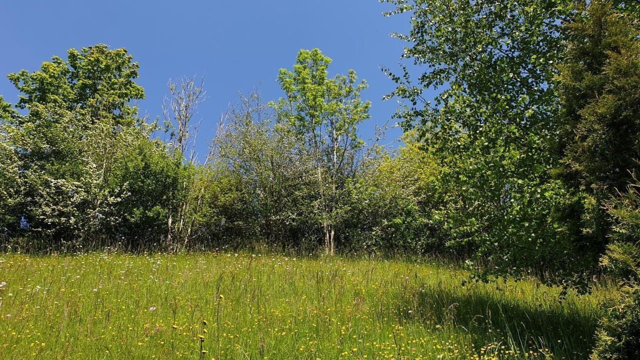 Photo of Others in Mogelsberg