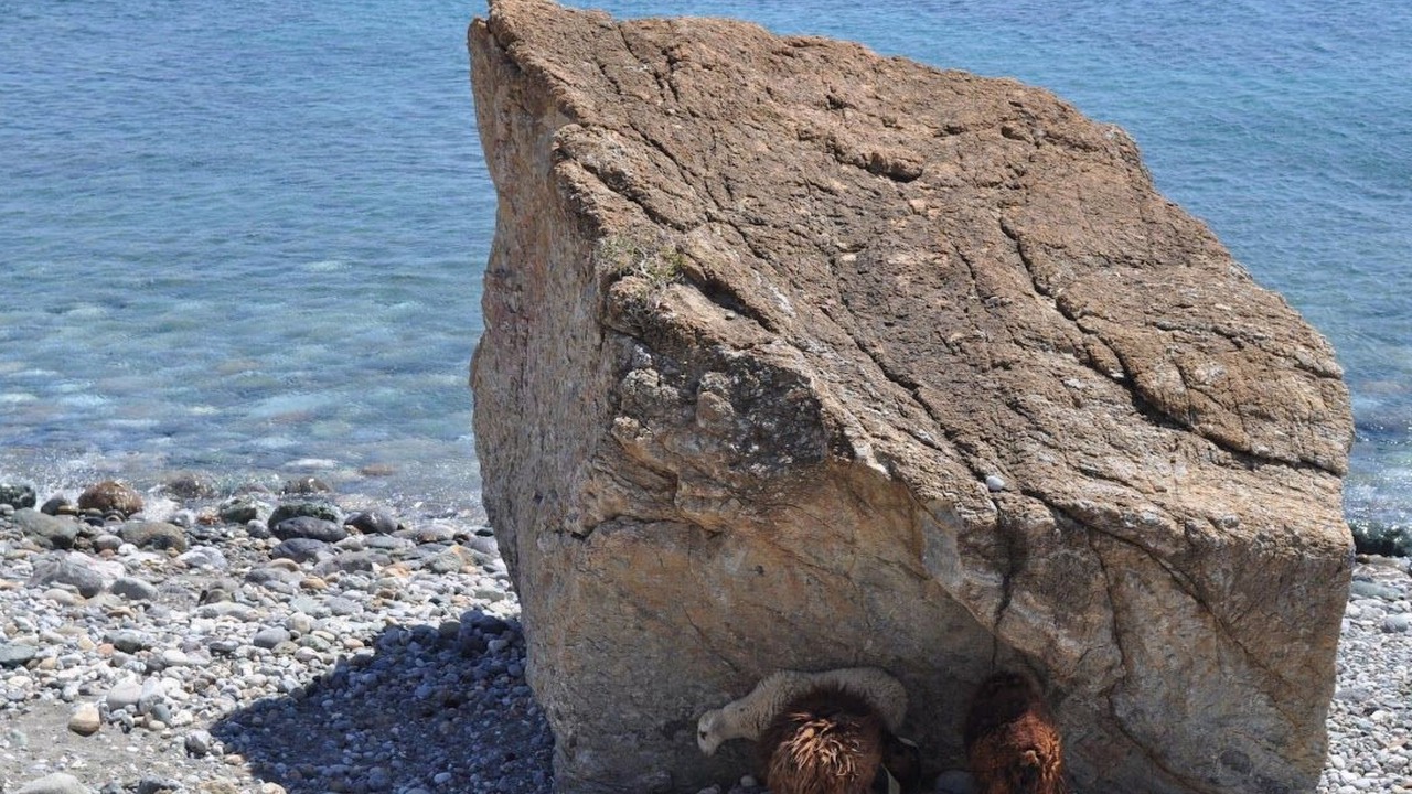 Photo of Others in Agia Galini