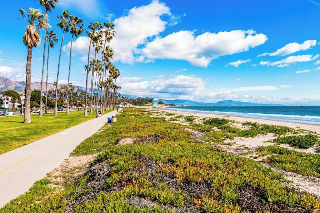 Photo of Others in East Beach