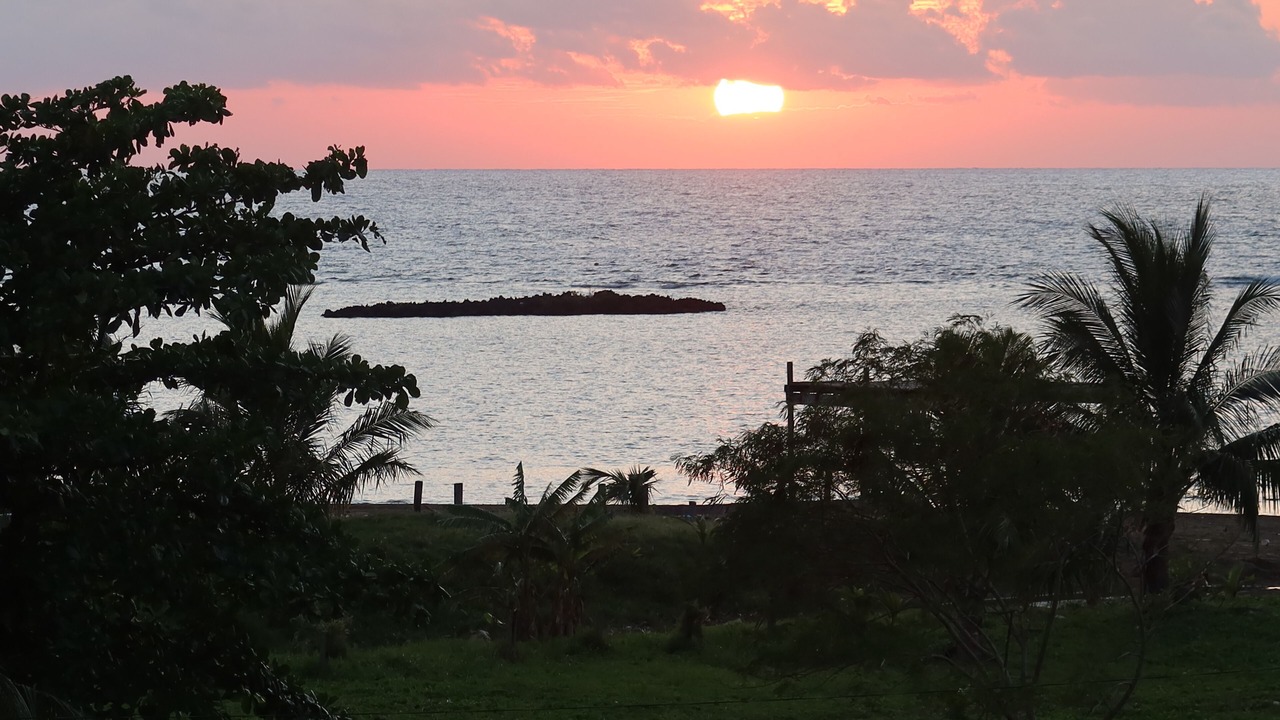 Photo of Others in Sandy Bay