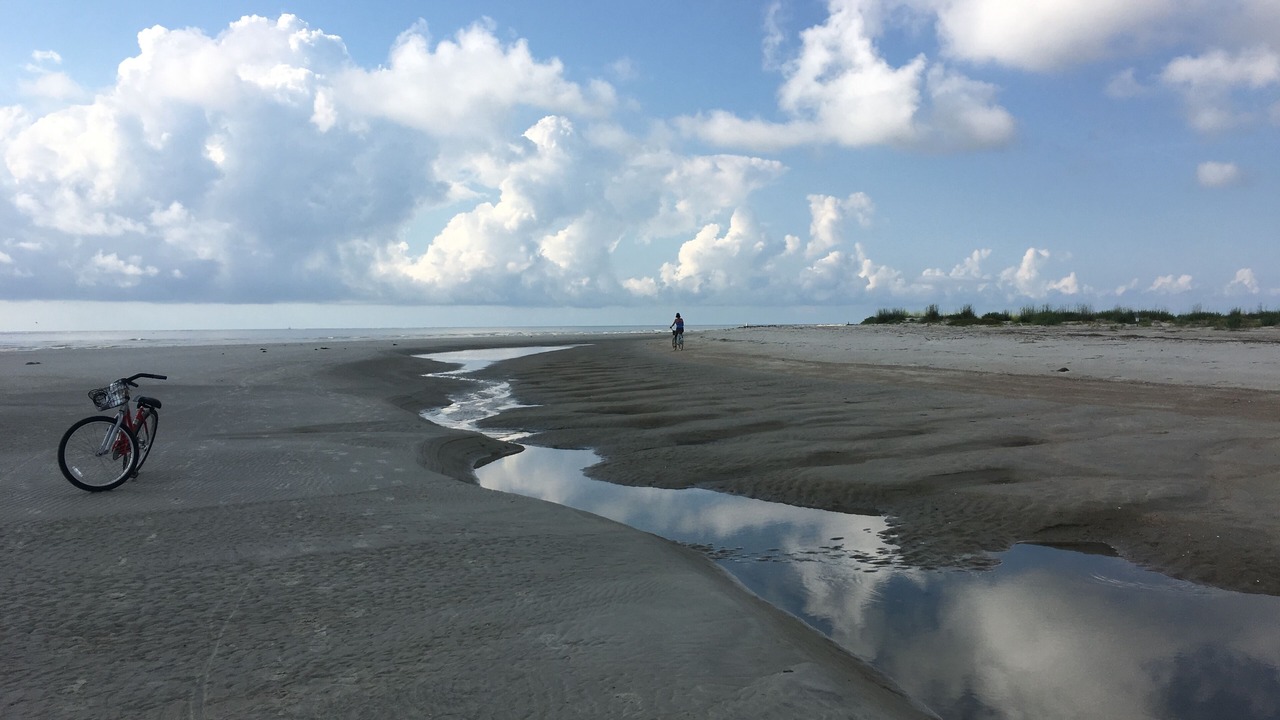 Photo of Others in Folly Field