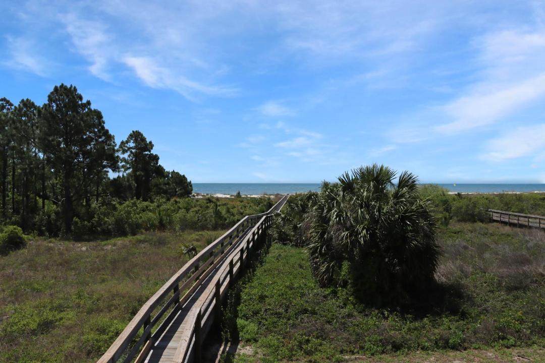 Photo of Others in Cape San Blas