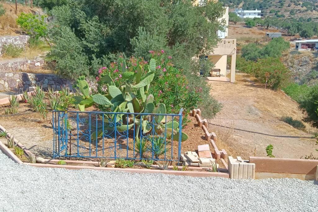 Photo of Others in Agia Galini