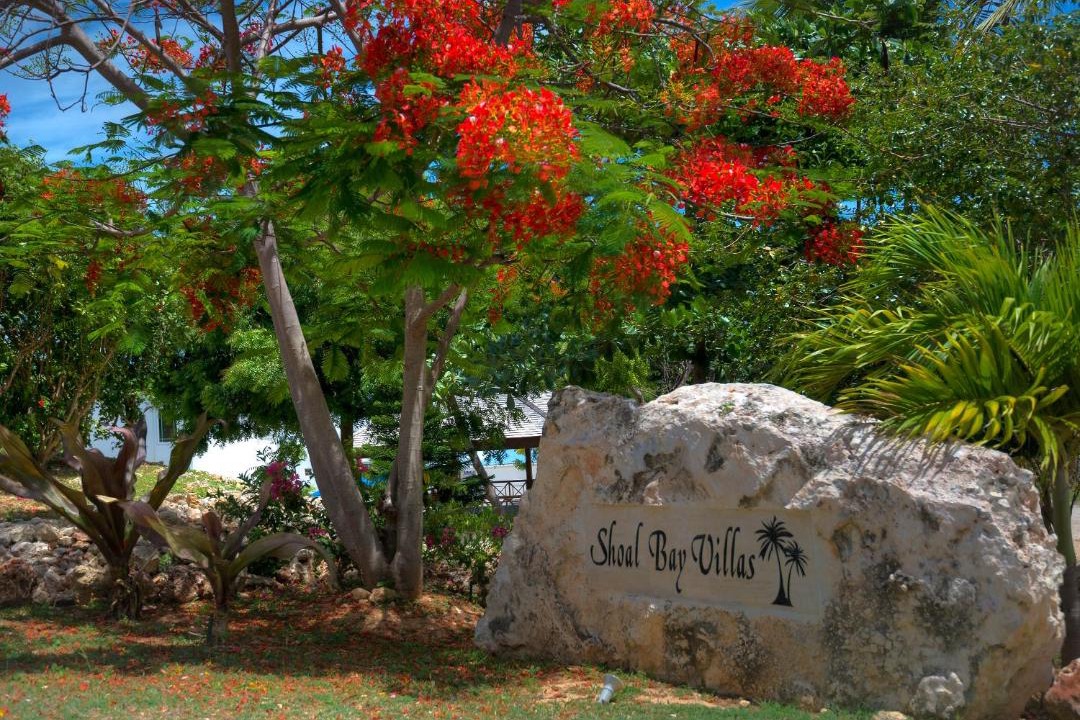 Photo of Others in Shoal Bay